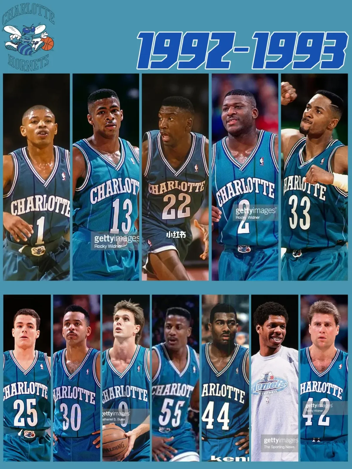 美网2025直播平台