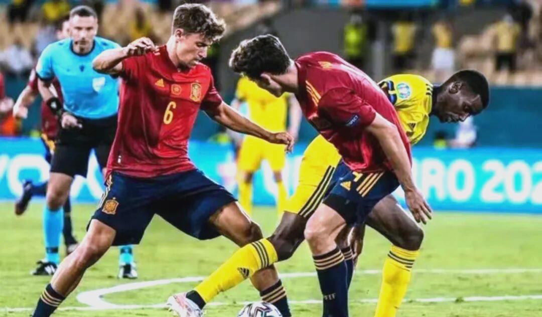 开云中国-瑞典队对科索沃