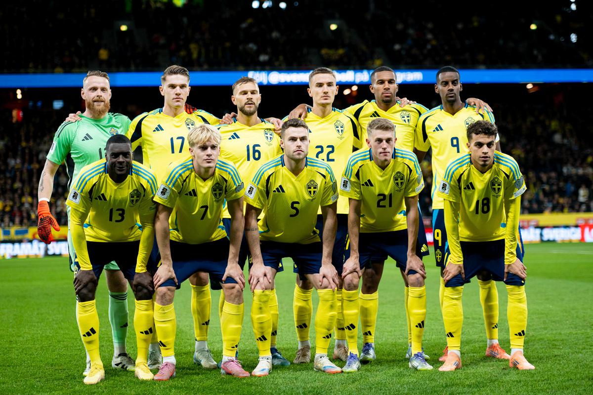 瑞典队对科索沃