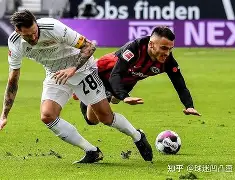 拜仁慕尼黑高清队徽